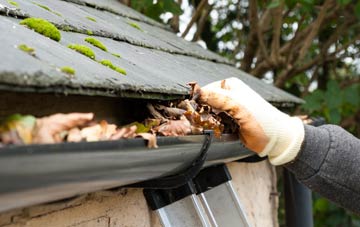 gutter cleaning Pentrisil, Pembrokeshire