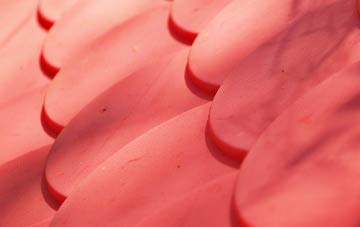 Pentrisil plastic roof costs