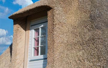 Pentrisil thatch roof disadvantages