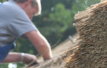 professional Pentrisil thatchers