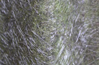 Pentrisil fibreglass roof work