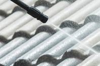 rated Pentrisil roof cleaning companies