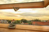 rated Pentrisil roof window companies